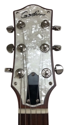 Godin Radiator - Bourbon Burst 2